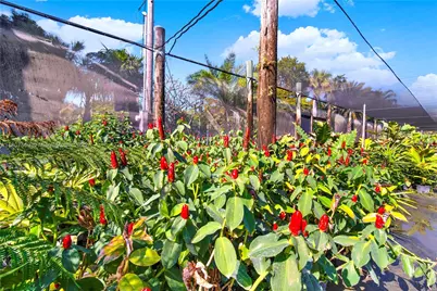 22401 SW 130 Ave, Miami, FL 33170 - Photo 2