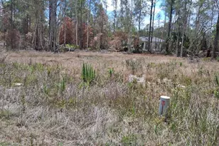 630 Ladd St, Lehigh Acres, FL 33974 - Photo 1