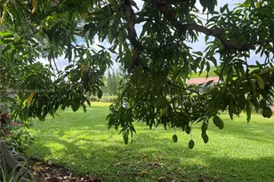 1544 Springside Dr, Weston, FL 33326 - Photo 6