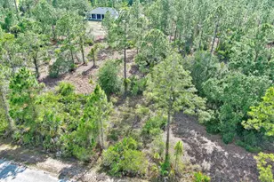 317 Fitch Ave, Lehigh Acres, FL 33936 - Photo 6