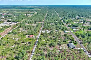 317 Fitch Ave, Lehigh Acres, FL 33936 - Photo 22