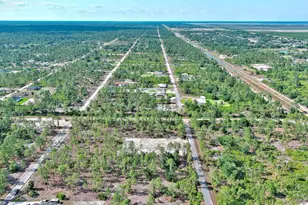 317 Fitch Ave, Lehigh Acres, FL 33936 - Photo 20