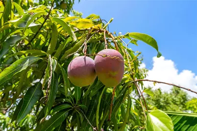 18820 SW 316th St, Homestead, FL 33030 - Photo 24