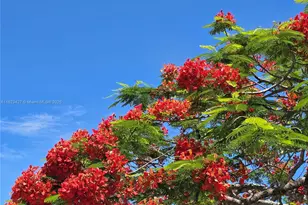 1711 SW 22nd St, Boynton Beach, FL 33426 - Photo 52