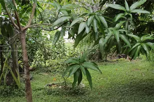 256 Broward Ave, Greenacres, FL 33463 - Photo 12