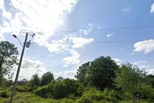 528 Parker Ave S, Lehigh Acres, FL 33974 - Photo 1