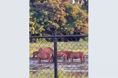 3311 SW 118th Ter, Davie, FL 33330 - Photo 92