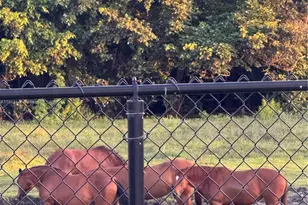 3311 SW 118th Terrace, Davie, FL 33330 - Photo 92