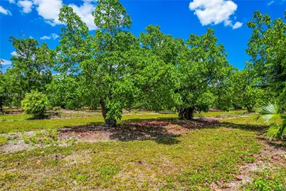 254Xx SW 217Ave, Homestead, FL 33031 - Photo 12