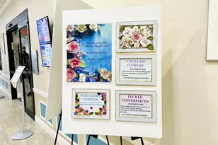 293 Newport T, Deerfield Beach, FL 33442 - Photo 28