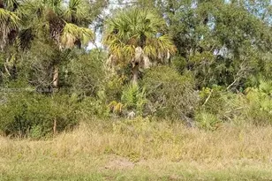 26054 Notre Dame, Punta Gorda, FL 33955 - Photo 1