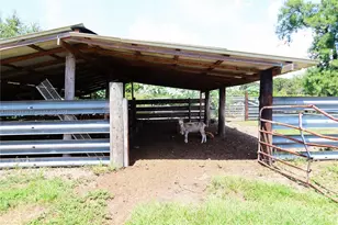 1321 Bluff Hammock Rd, Lorida, FL 33857 - Photo 40