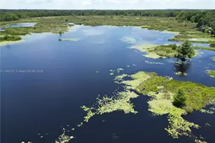 8781 S Lakeshore Dr Floral City, Other City - In The State Of Florida, FL 34436 - Photo 2