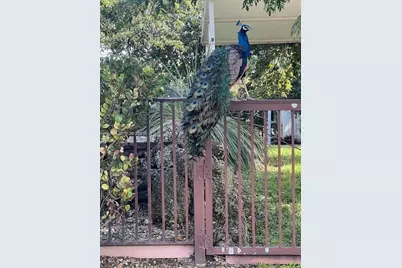 17625 SW 91st Ave., Palmetto Bay, FL 33157 - Photo 26