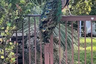 17625 SW 91st Ave, Palmetto Bay, FL 33157 - Photo 42