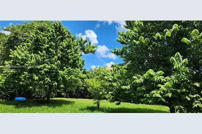 1035 NE 36th Ave, Homestead, FL 33033 - Photo 10