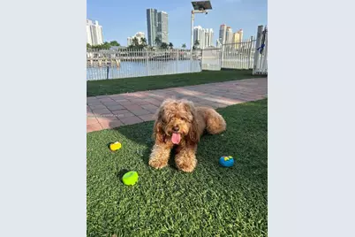 3600 Mystic Pointe Dr #215, Aventura, FL 33180 - Photo 30