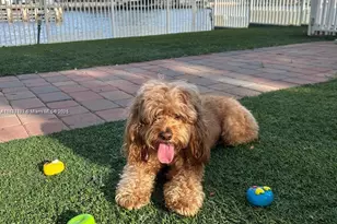 3600 Mystic Pointe Dr, Aventura, FL 33180 - Photo 30