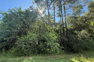 780 N Zambria St, Clewiston, FL 33440 - Photo 1