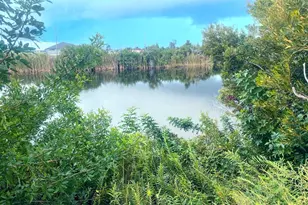 3117 NW 9th St, Cape Coral, FL 33993 - Photo 1