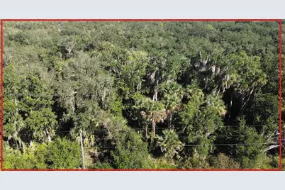 21229 NW 252 Street, Okeechobee, FL 34972 - Photo 10