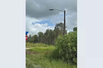 1005 Portland, Lehigh Acres, FL 33974 - Photo 4