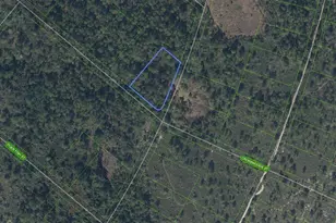 [Address not provided], Lake Placid, FL 33852 - Photo 1