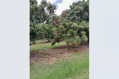 22220 SW 248th St, Homestead, FL 33031 - Photo 40