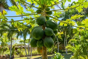 20230 SW 184th St, Miami, FL 33187 - Photo 34