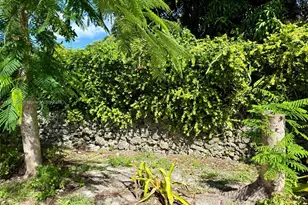 10901 NE 3rd Ave, Miami, FL 33161 - Photo 6