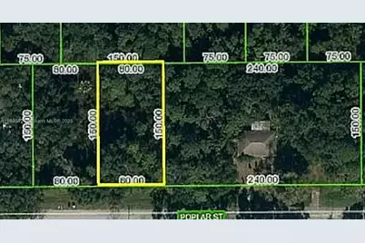 1508 Poplar St., Lake Placid, FL 33852 - Photo 1