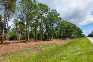 533 Appaloosa Ave, Clewiston, FL 33440 - Photo 1