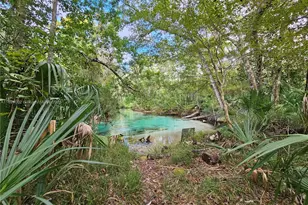 7505 Jomel Dr, Spring Hill, FL 34607 - Photo 42