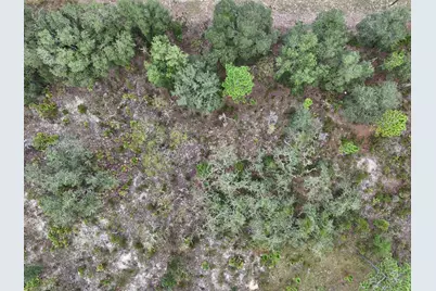 0 NE 62nd St, Williston, FL 32696 - Photo 10