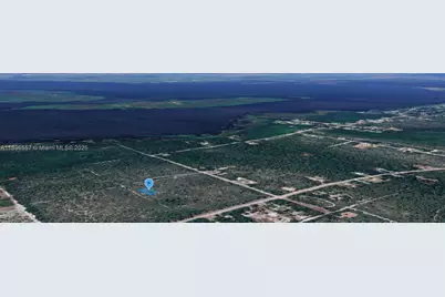 701 Camden St, Lake Placid, FL 33852 - Photo 2