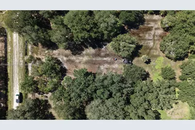 20125 NW 300th St, Okeechobee, FL 34972 - Photo 6