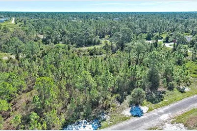 839 Kaley Ave S, Lehigh Acres, FL 33974 - Photo 6