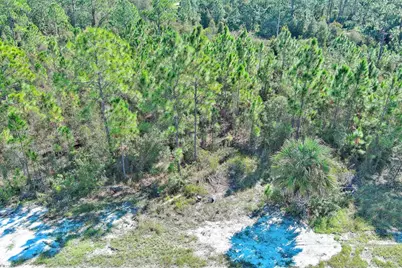 839 Kaley Ave S, Lehigh Acres, FL 33974 - Photo 4