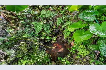 430 Poinciana Island Dr #1710, Sunny Isles Beach, FL 33160 - Photo 42