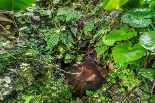 430 Poinciana Island Dr, Sunny Isles Beach, FL 33160 - Photo 42