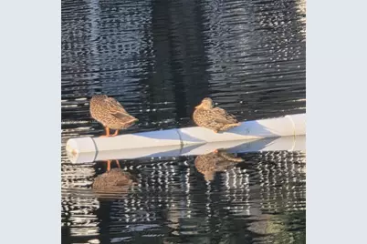 6073 Balboa Cir #204, Boca Raton, FL 33433 - Photo 48