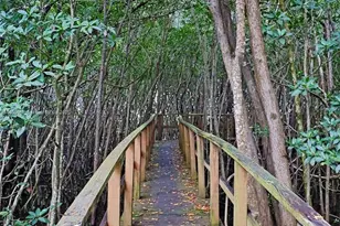 6223 Paradise Point Dr, Palmetto Bay, FL 33157 - Photo 80