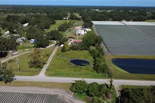 5902 Thonotosossa Rd, Plant City, FL 33565 - Photo 30