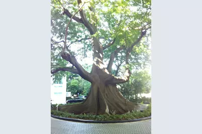 1861 NW S River Dr #2601, Miami, FL 33125 - Photo 18