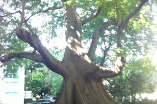 1861 NW S River Dr, Miami, FL 33125 - Photo 18