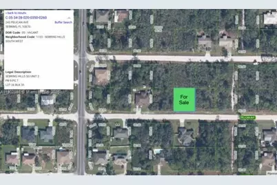 243 Pelican Ave, Sebring, FL 33870 - Photo 1