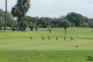 12501 SW 14th St, Pembroke Pines, FL 33027 - Photo 32