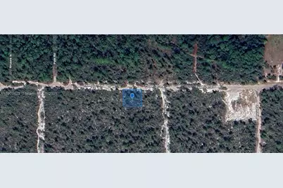 2215 Flower Terrace, Sebring, FL 33875 - Photo 4