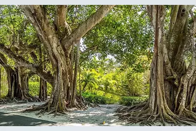 12204 Kelley Ave, Port Charlotte, FL 33981 - Photo 8