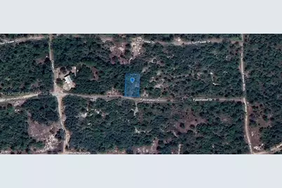 252 Fascination Drive, Lake Placid, FL 33852 - Photo 4